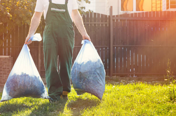 Best Property Management Cleanouts  in Hwatha, IA